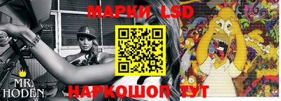спиды Новодвинск