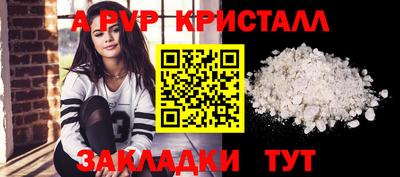 спиды Новодвинск