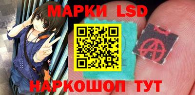 спиды Новодвинск