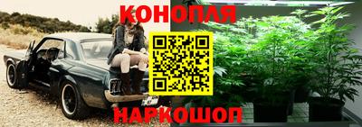 кокаин Новозыбков