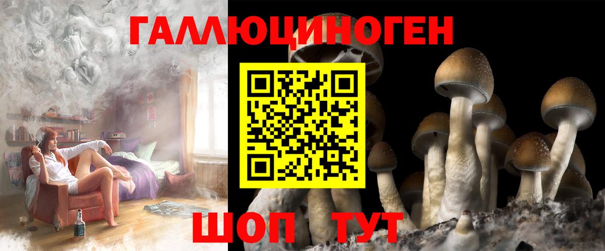 Ухта  Галлюциногенные грибы Psilocybe  что такое   Вход с VPN 
